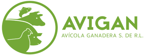 AVIGAN HN